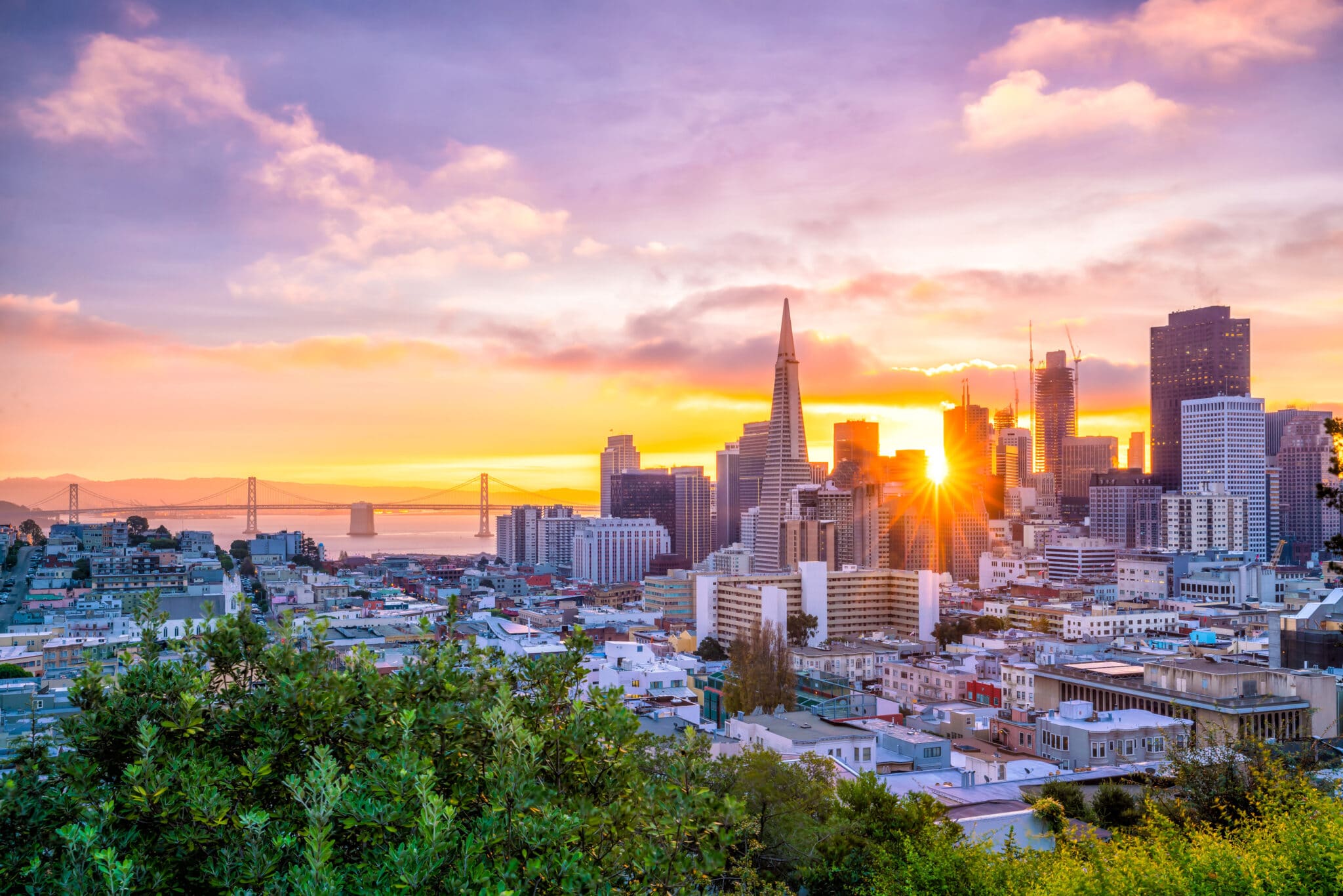 Your Trusted San Francisco, CA Dentist: Credentialed in Multiple Hospitals and Ready to provide the specialized care that you need.